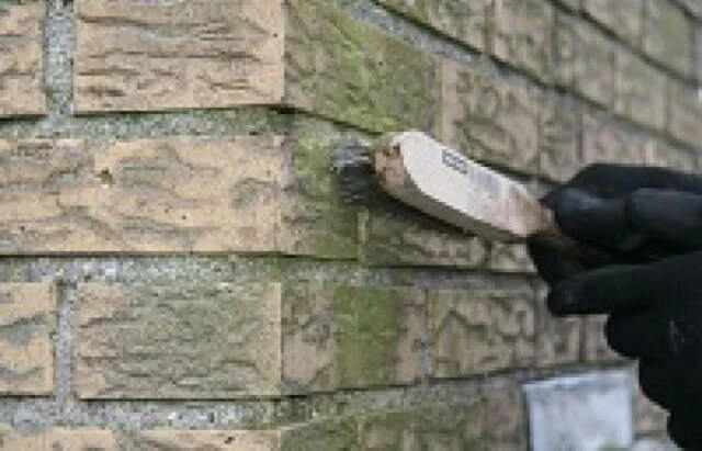 ontmossen schoorsteen ijmond content.jpg