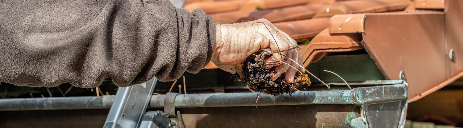 Dakgoten schoonmaken IJmond Content.jpg